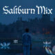 Saltburn Soundtrack Mix